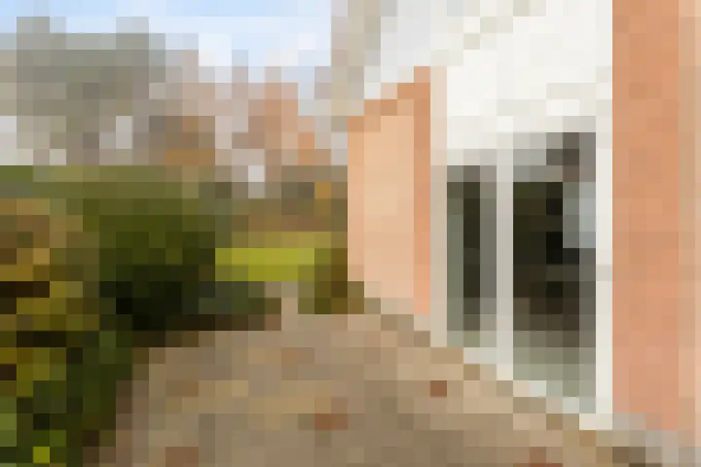 Duinpan 38 Kamperland thumbnail 27