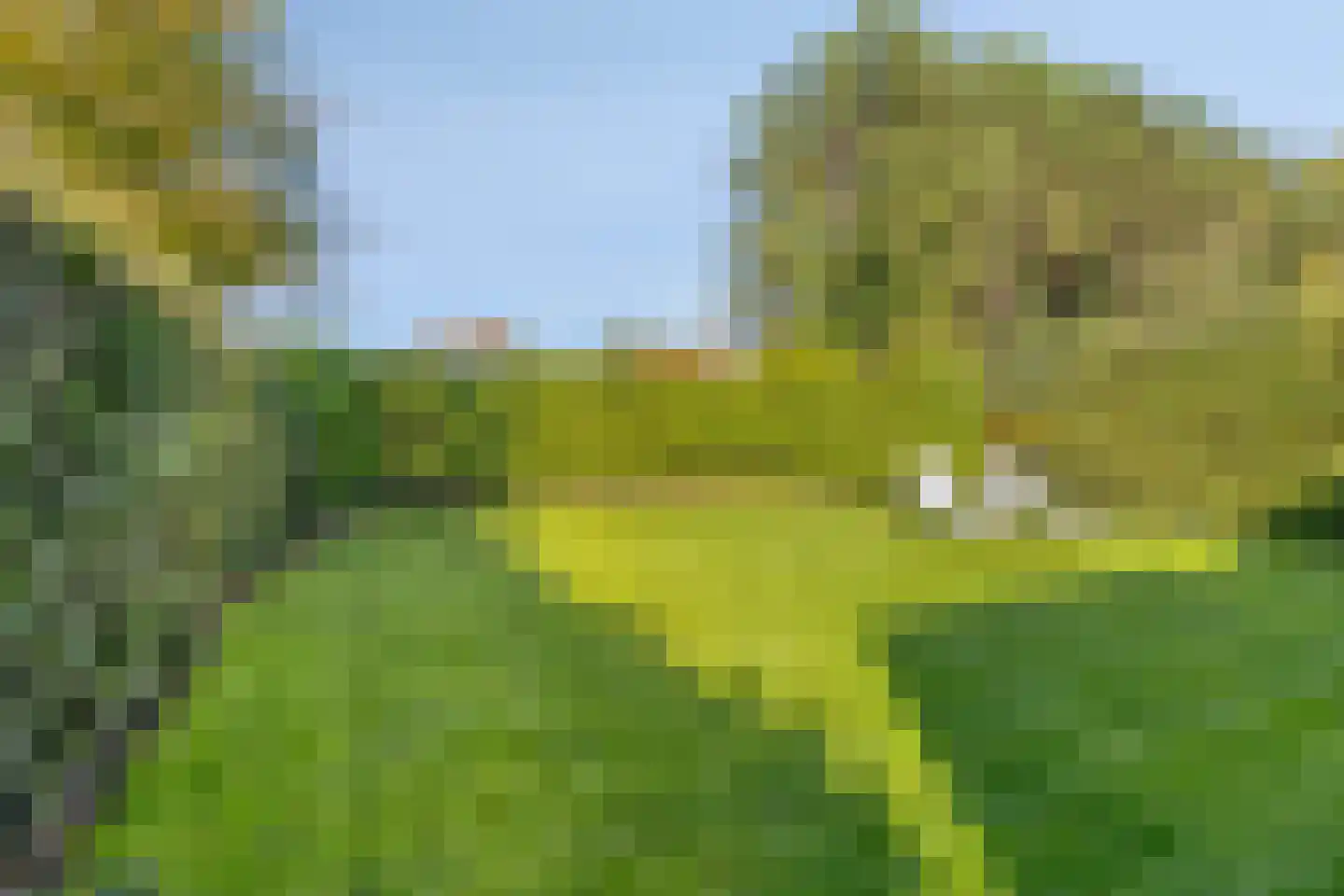 Duinpan 48 Kamperland thumbnail 22