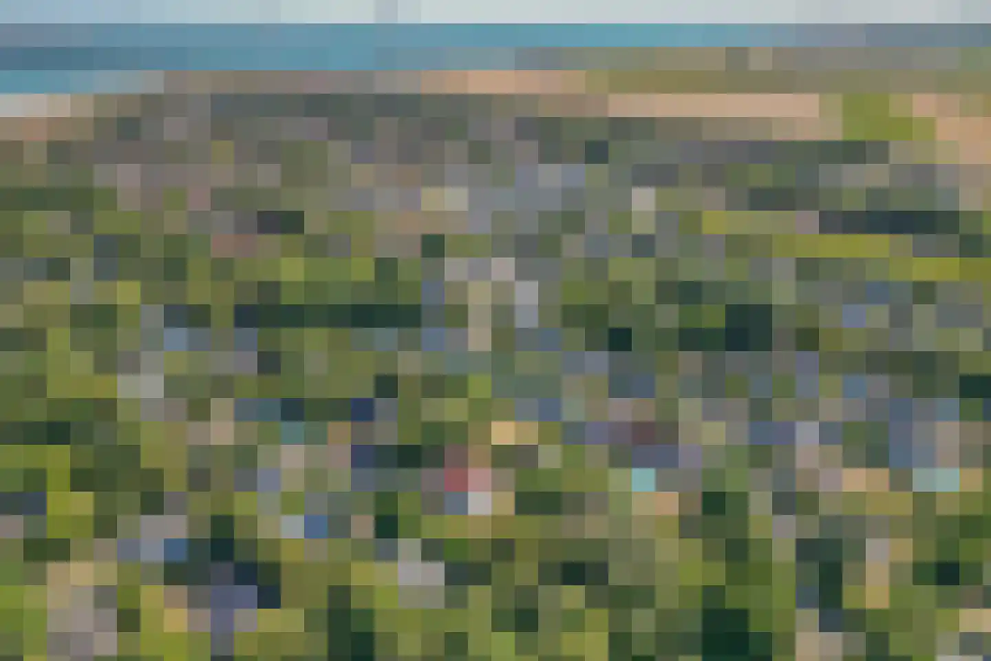 Duinpan 48 Kamperland thumbnail 25