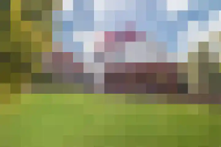 Duinpan 6 Vlissingen thumbnail 39