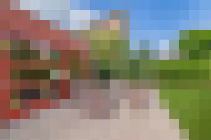 Duinpan 6 Vlissingen thumbnail 41