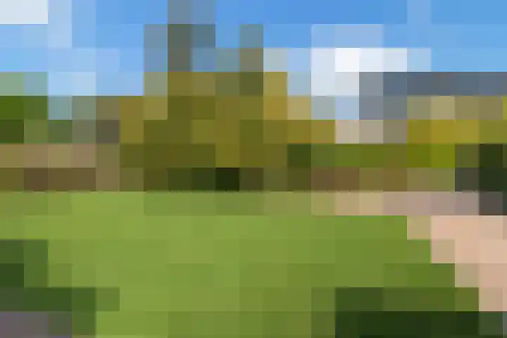 Duinpan 6 Vlissingen thumbnail 42