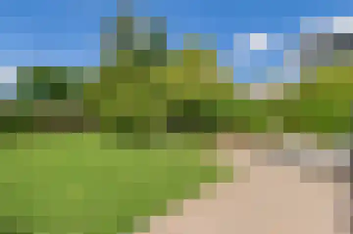 Duinpan 6 Vlissingen thumbnail 43