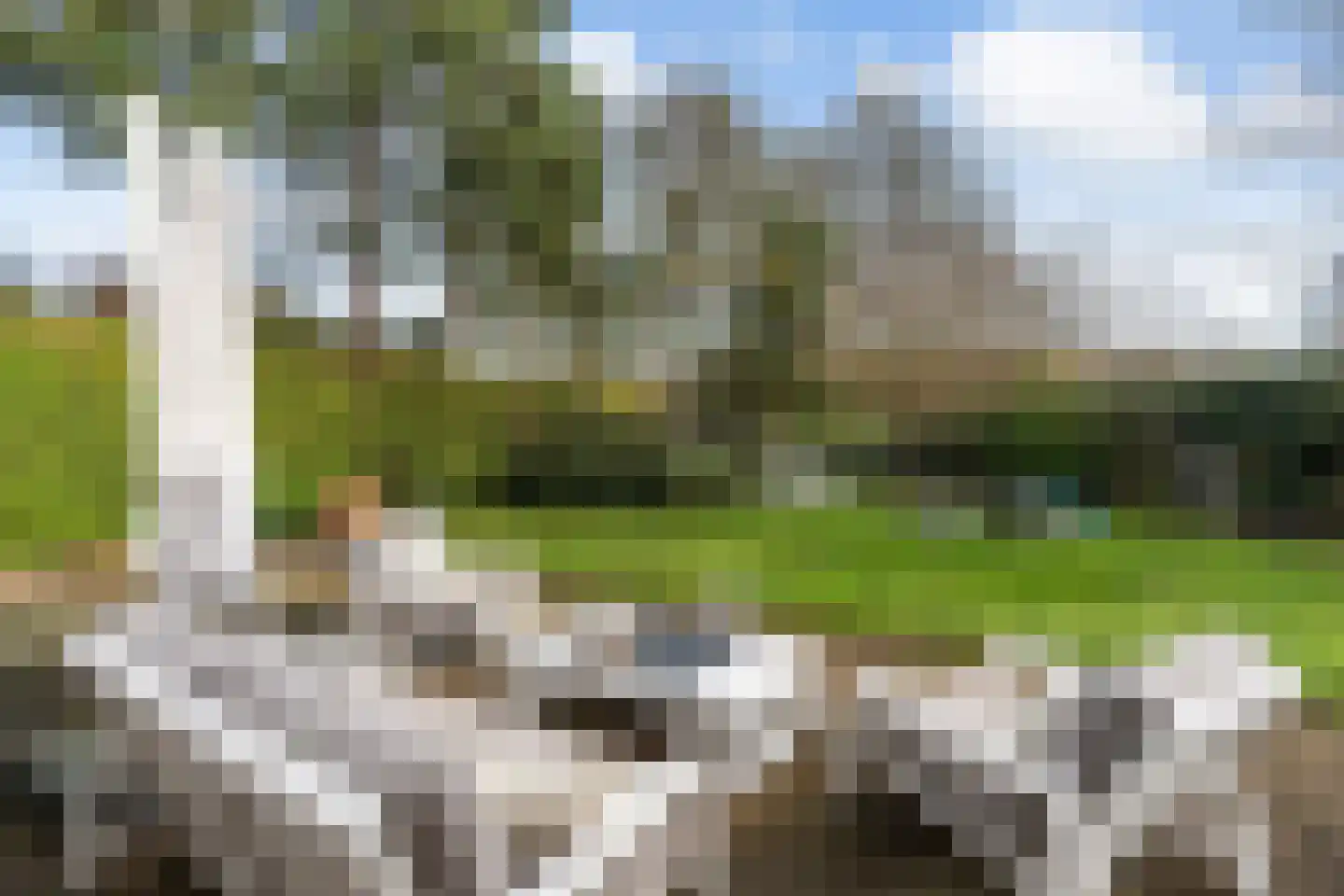 Duinpan 65 Kamperland thumbnail 36