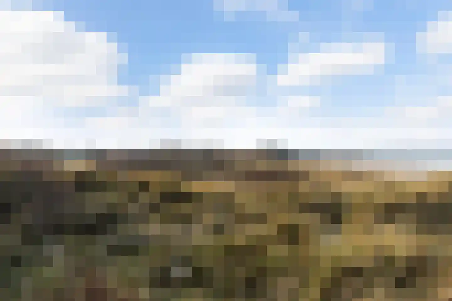 Duinpan 65 Kamperland thumbnail 36