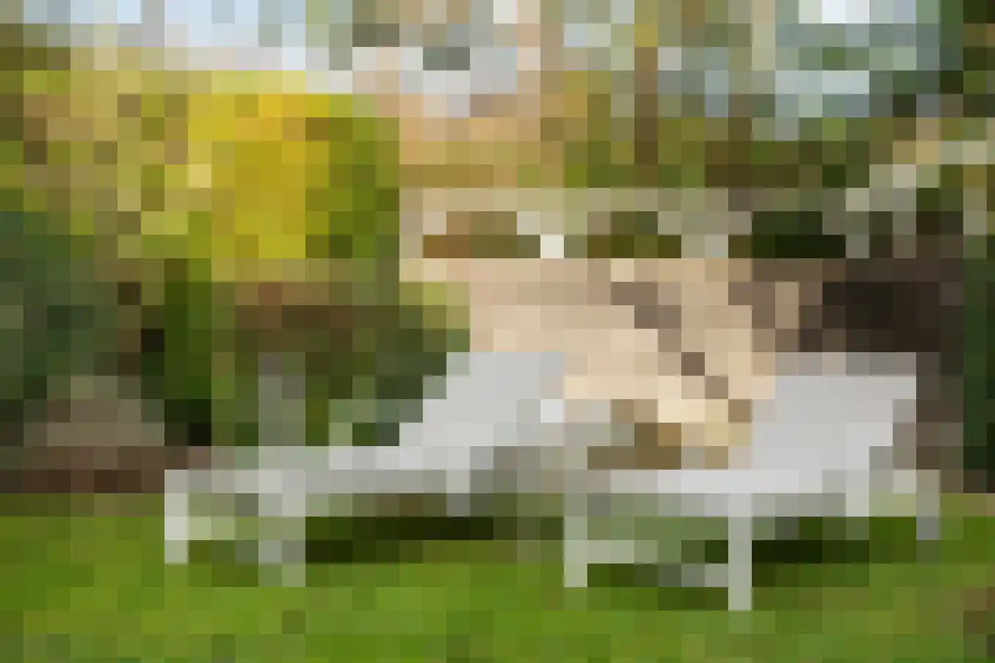 Duinpan 65 Kamperland thumbnail 41
