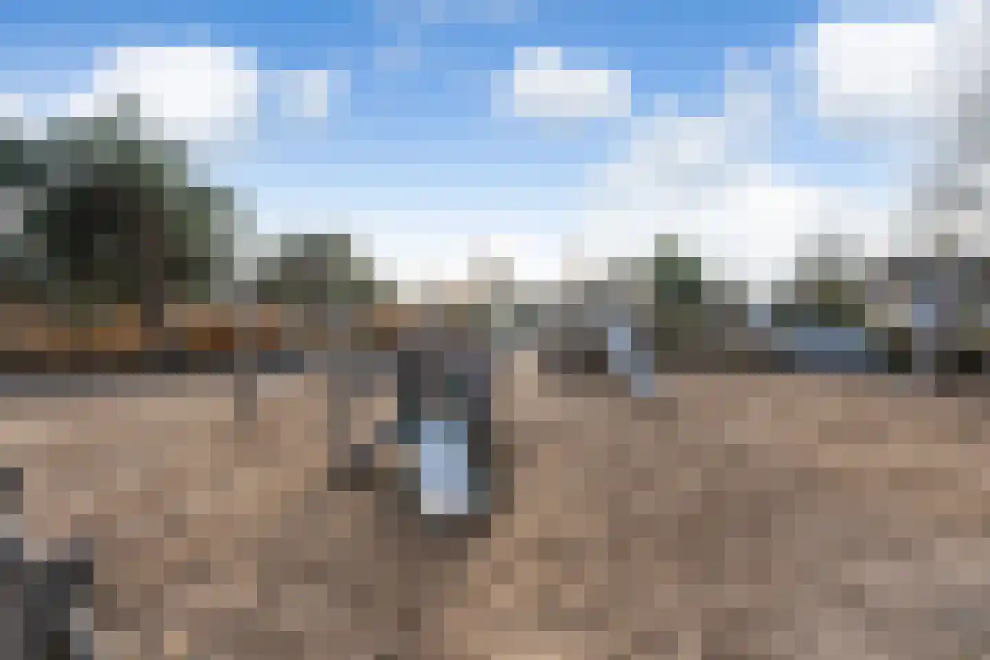 Duinpan 65 Kamperland thumbnail 42