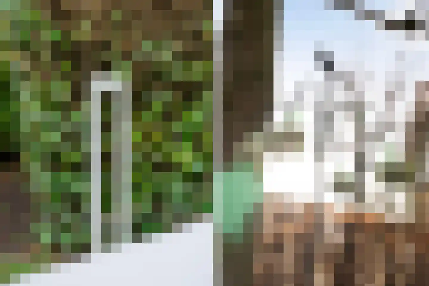 Duinpan 65 Kamperland thumbnail 42