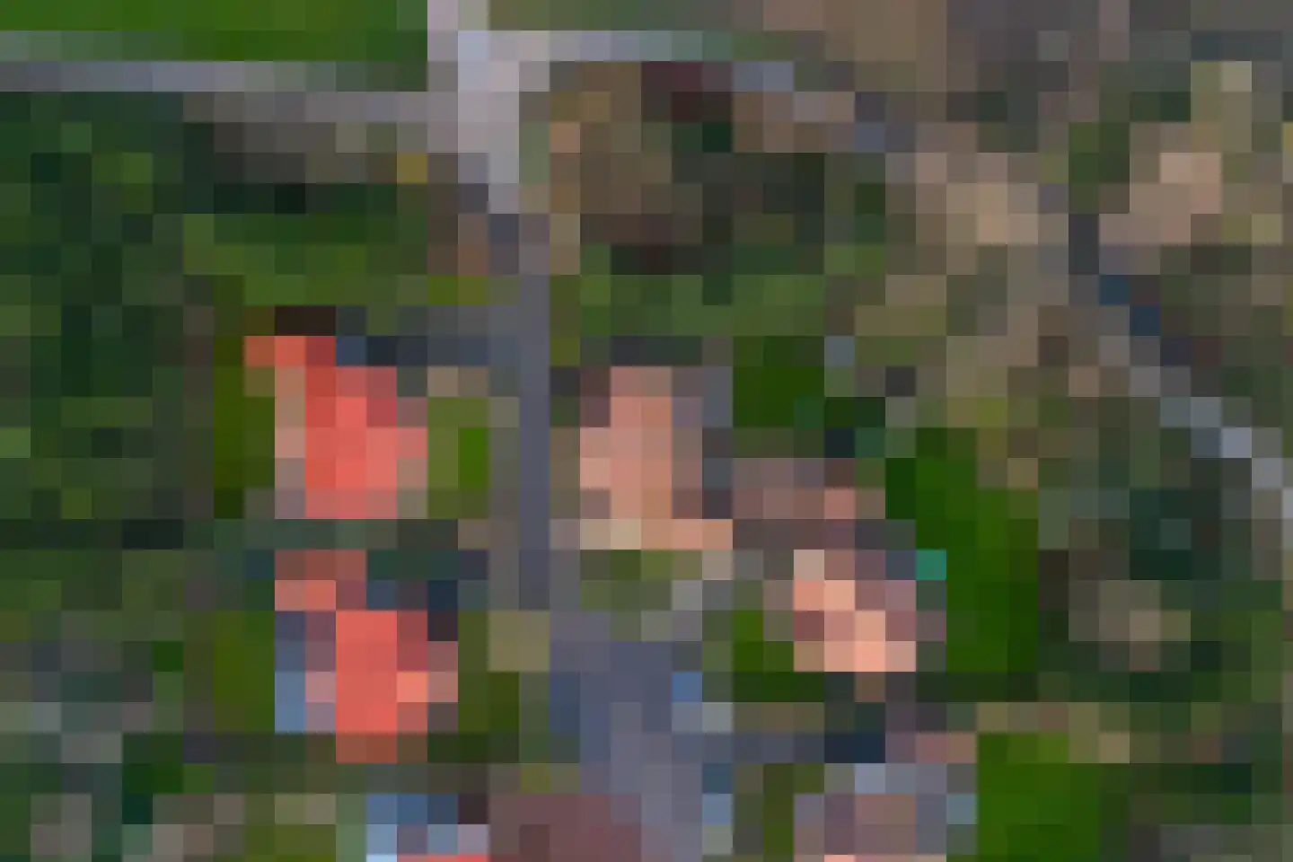 Duinpan 65 Kamperland thumbnail 50