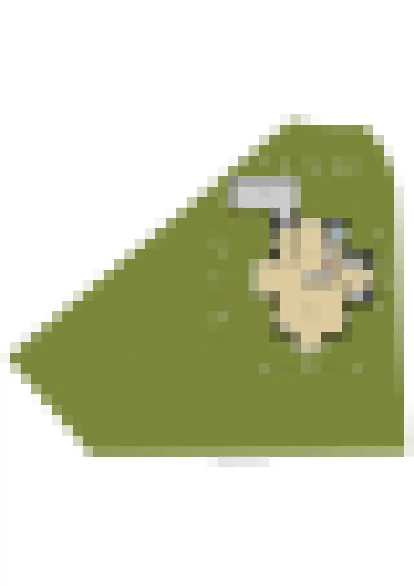 Duinpan 65 Kamperland thumbnail 62