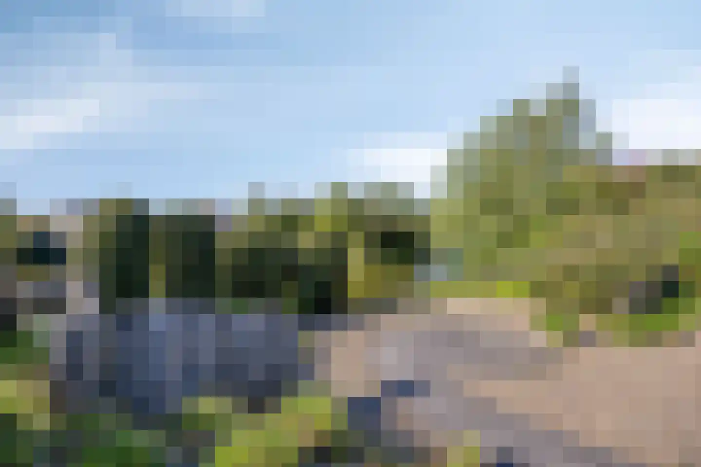 Duinpark Boulevard 28 Zoutelande thumbnail 24