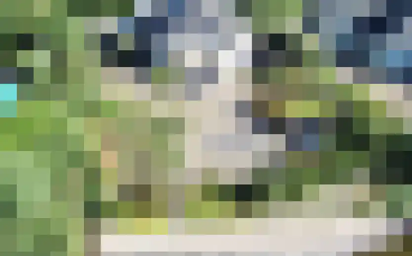 Duinpark Boulevard 28 Zoutelande thumbnail 26