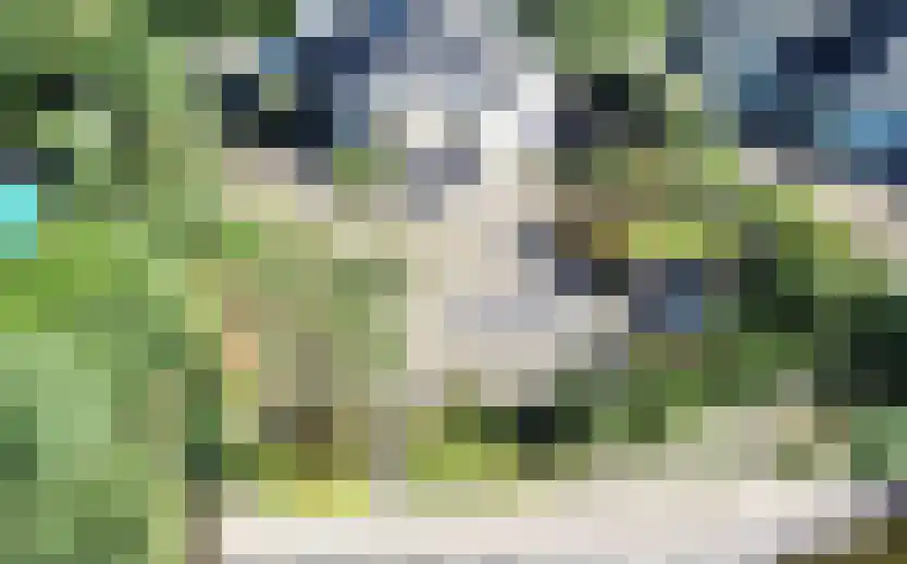 Duinpark Boulevard 28 Zoutelande thumbnail 26