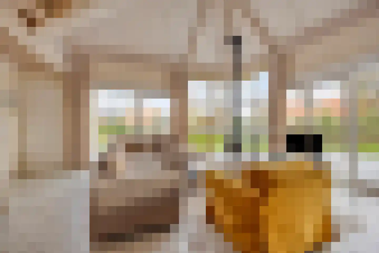 Duinpark Boulevard 4 Zoutelande thumbnail 10