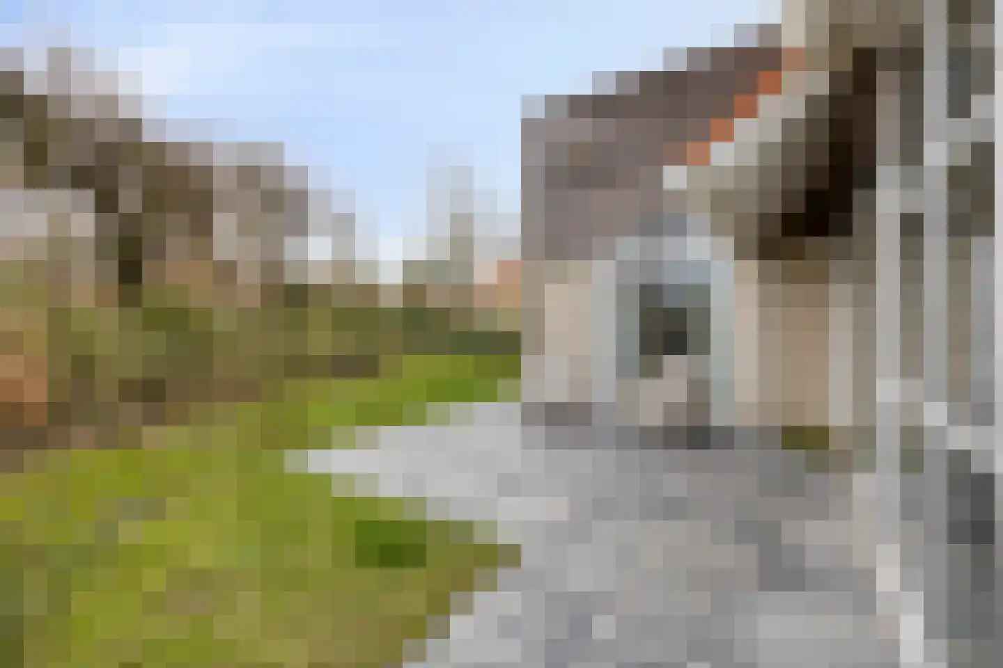 Duinpark Boulevard 4 Zoutelande thumbnail 18