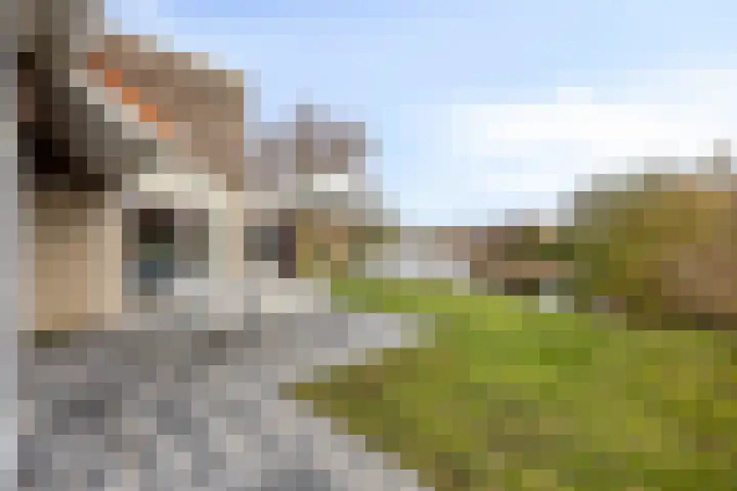 Duinpark Boulevard 4 Zoutelande thumbnail 4