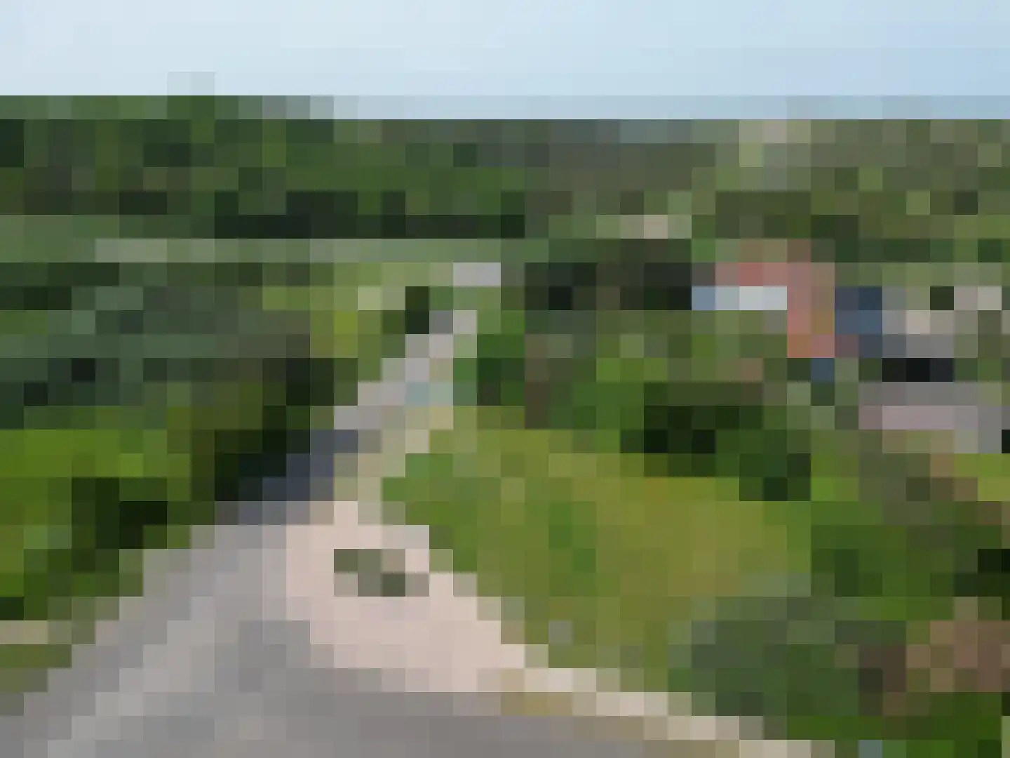Duinpark Boulevard Zoutelande thumbnail 6
