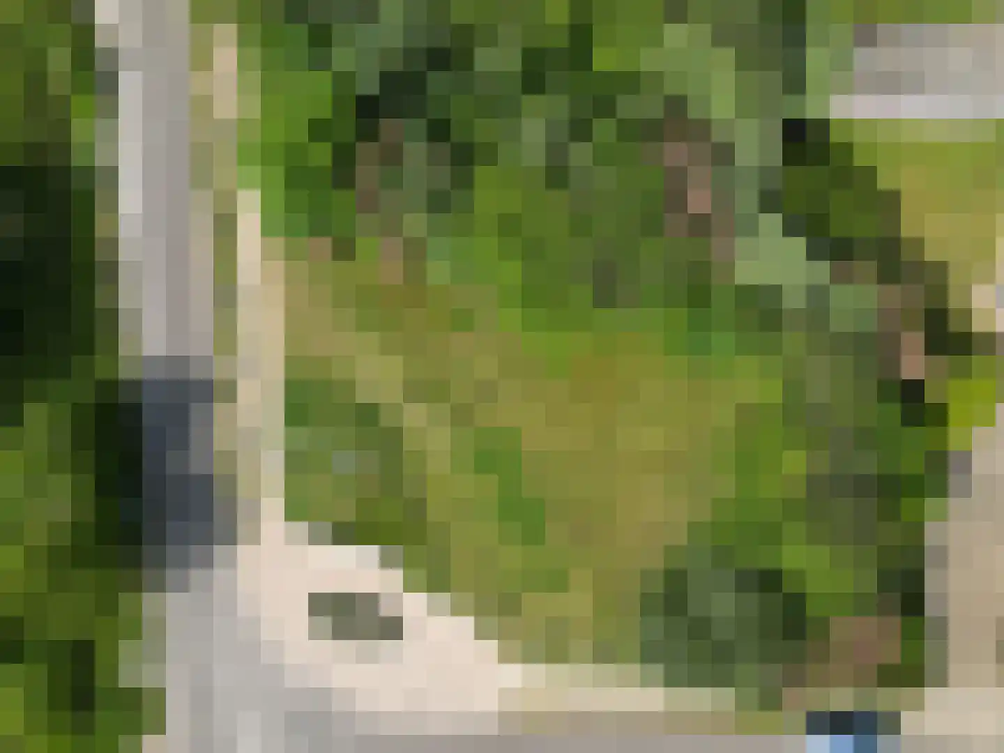 Duinpark Boulevard Zoutelande thumbnail 7
