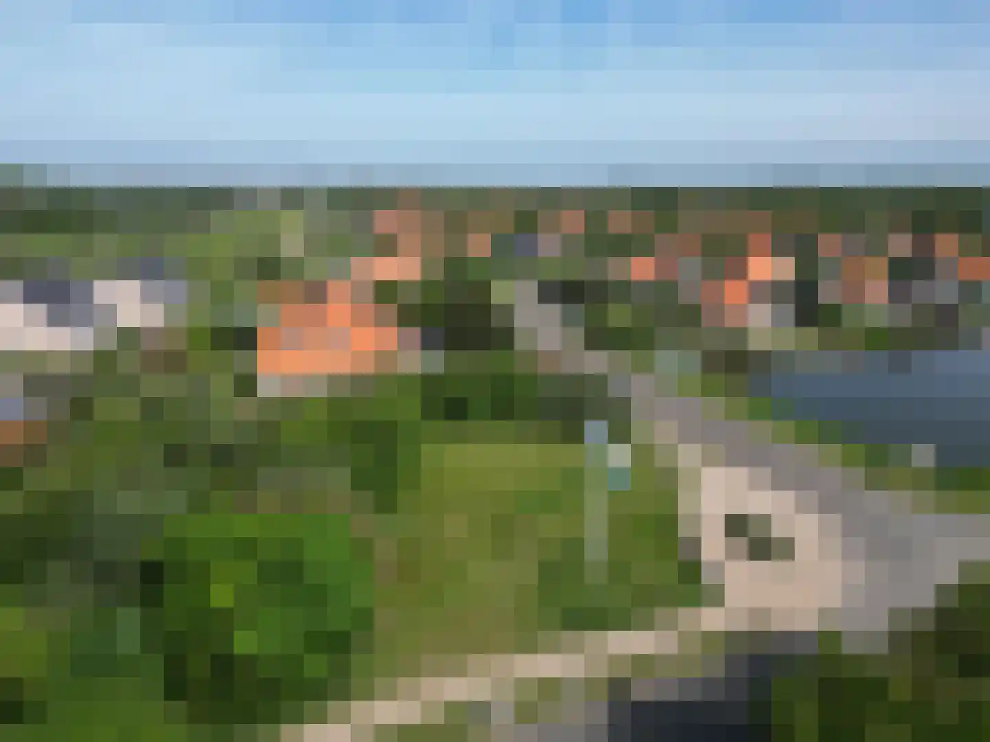 Duinpark Boulevard Zoutelande thumbnail 9