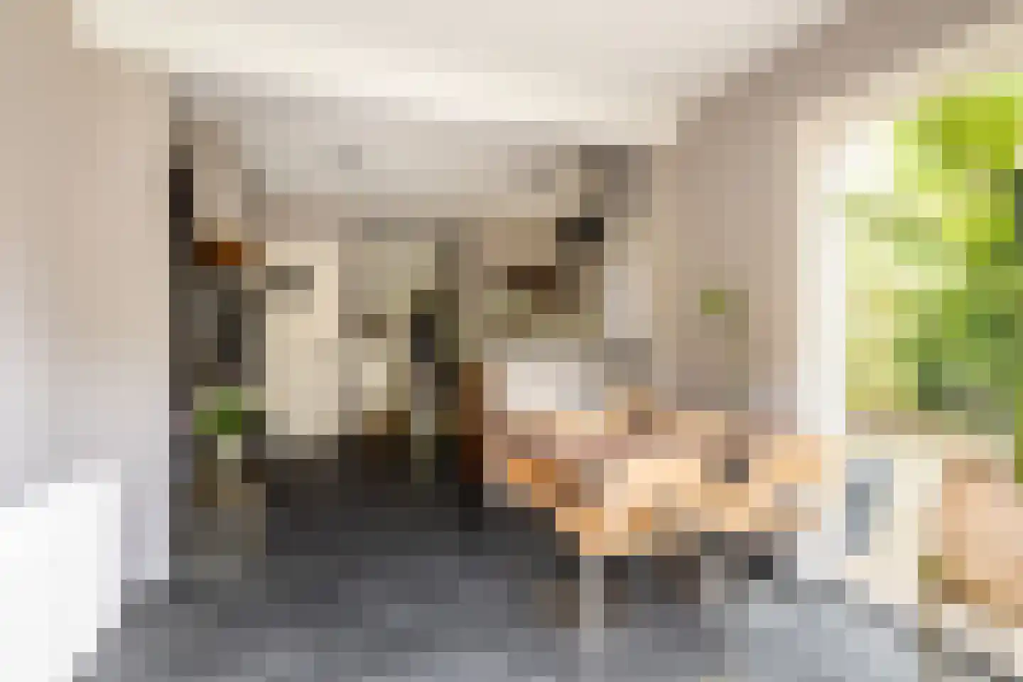 Duinrand 4 Rockanje thumbnail 15