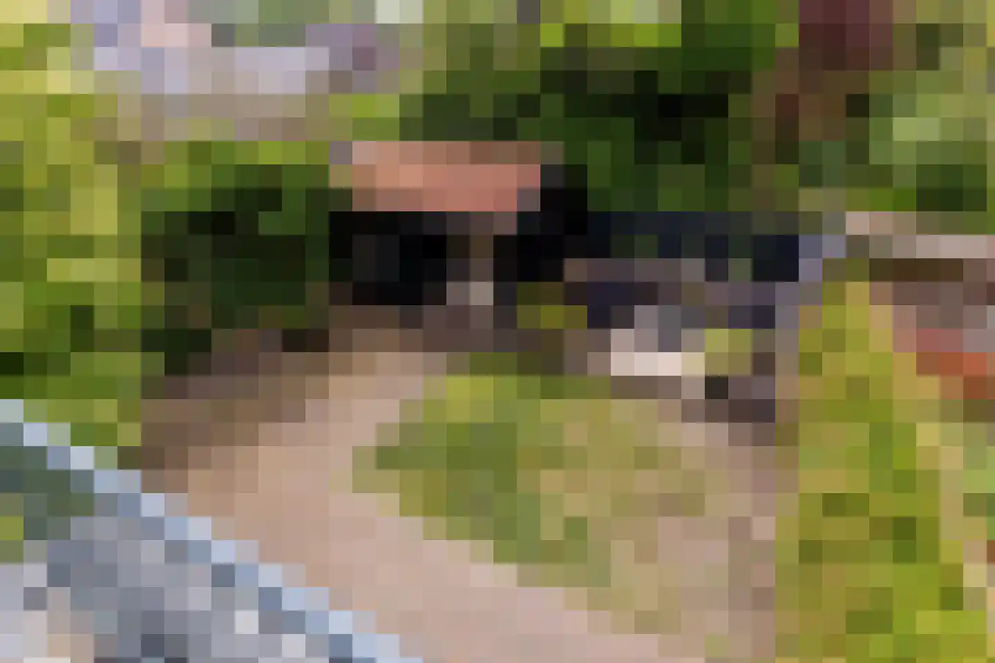 Duinrand 4 Rockanje thumbnail 20