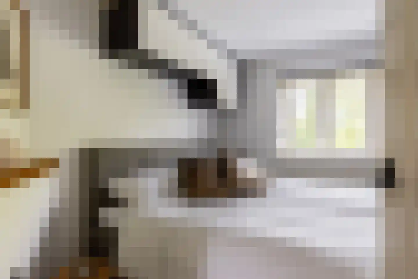 Duinrand 4 Rockanje thumbnail 24