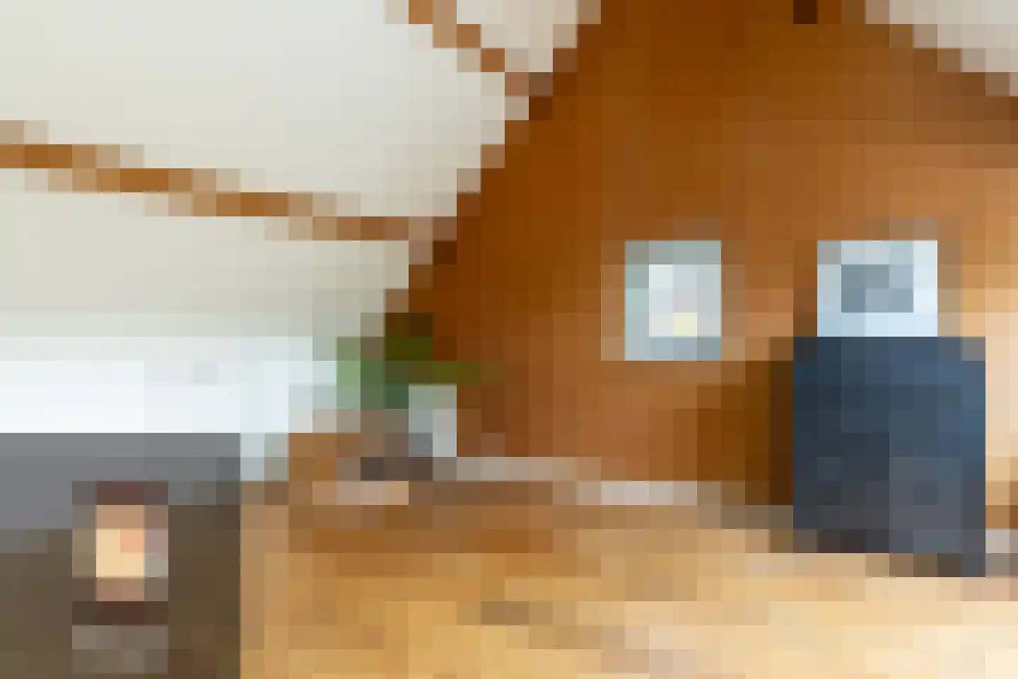 Duinrand 4 Rockanje thumbnail 28
