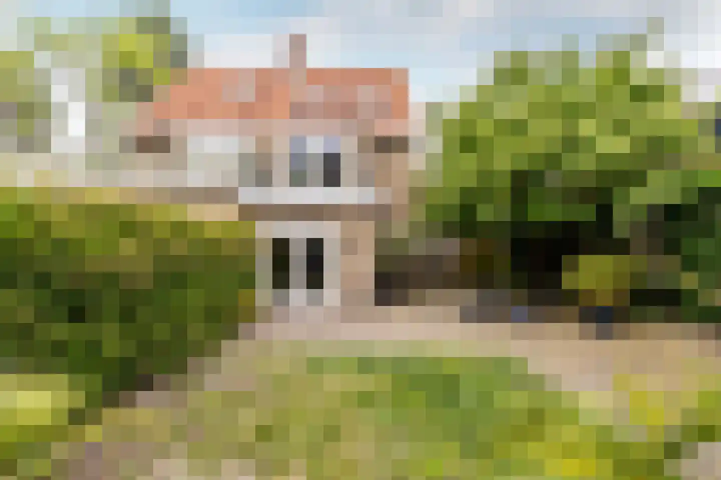 Duinrand 4 Rockanje thumbnail 29