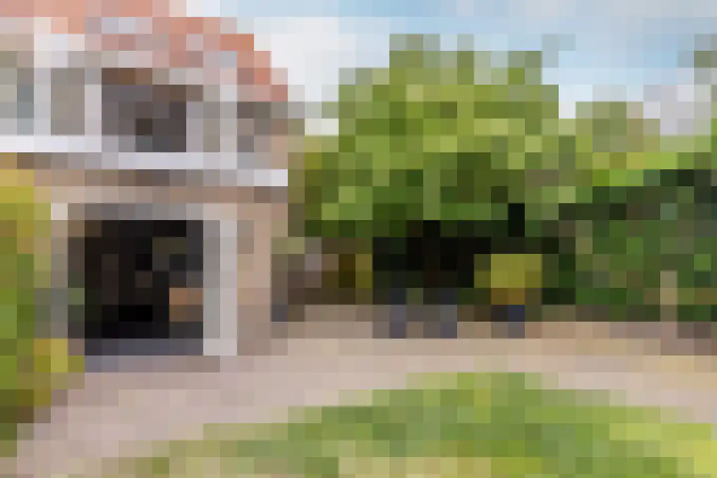 Duinrand 4 Rockanje thumbnail 30