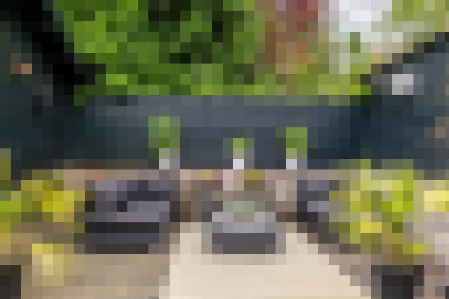 Duinrand 4 Rockanje thumbnail 34