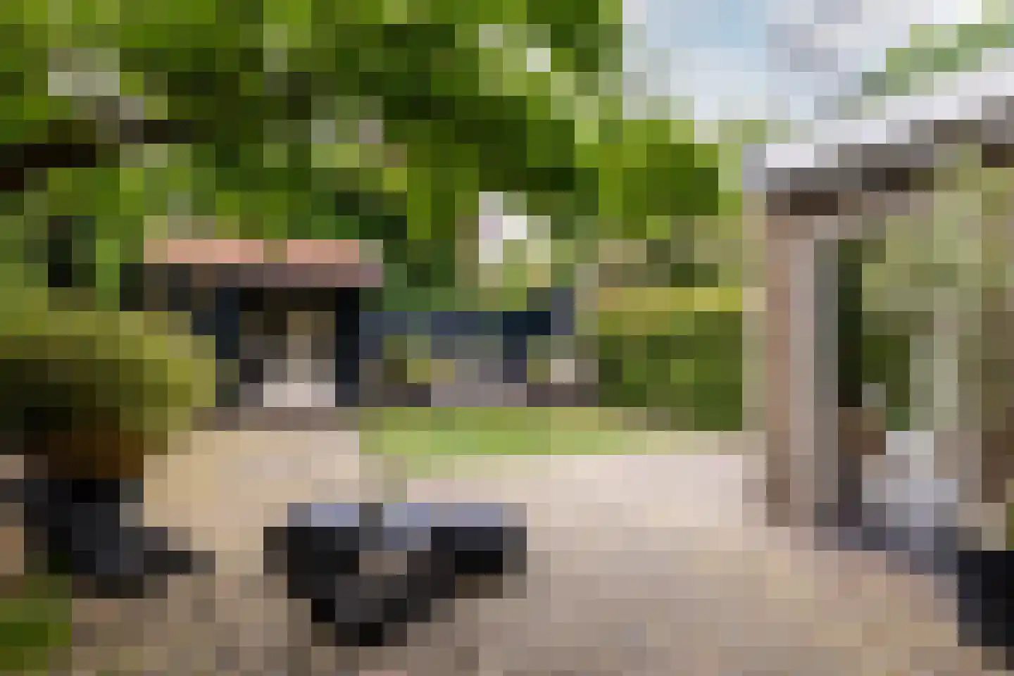 Duinrand 4 Rockanje thumbnail 35