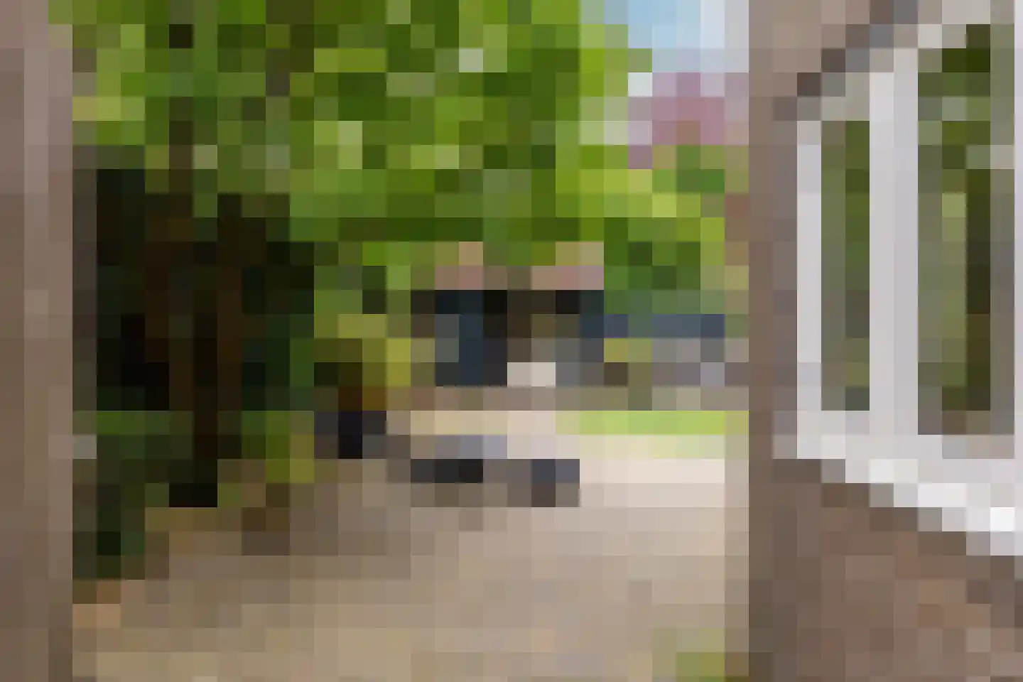 Duinrand 4 Rockanje thumbnail 36