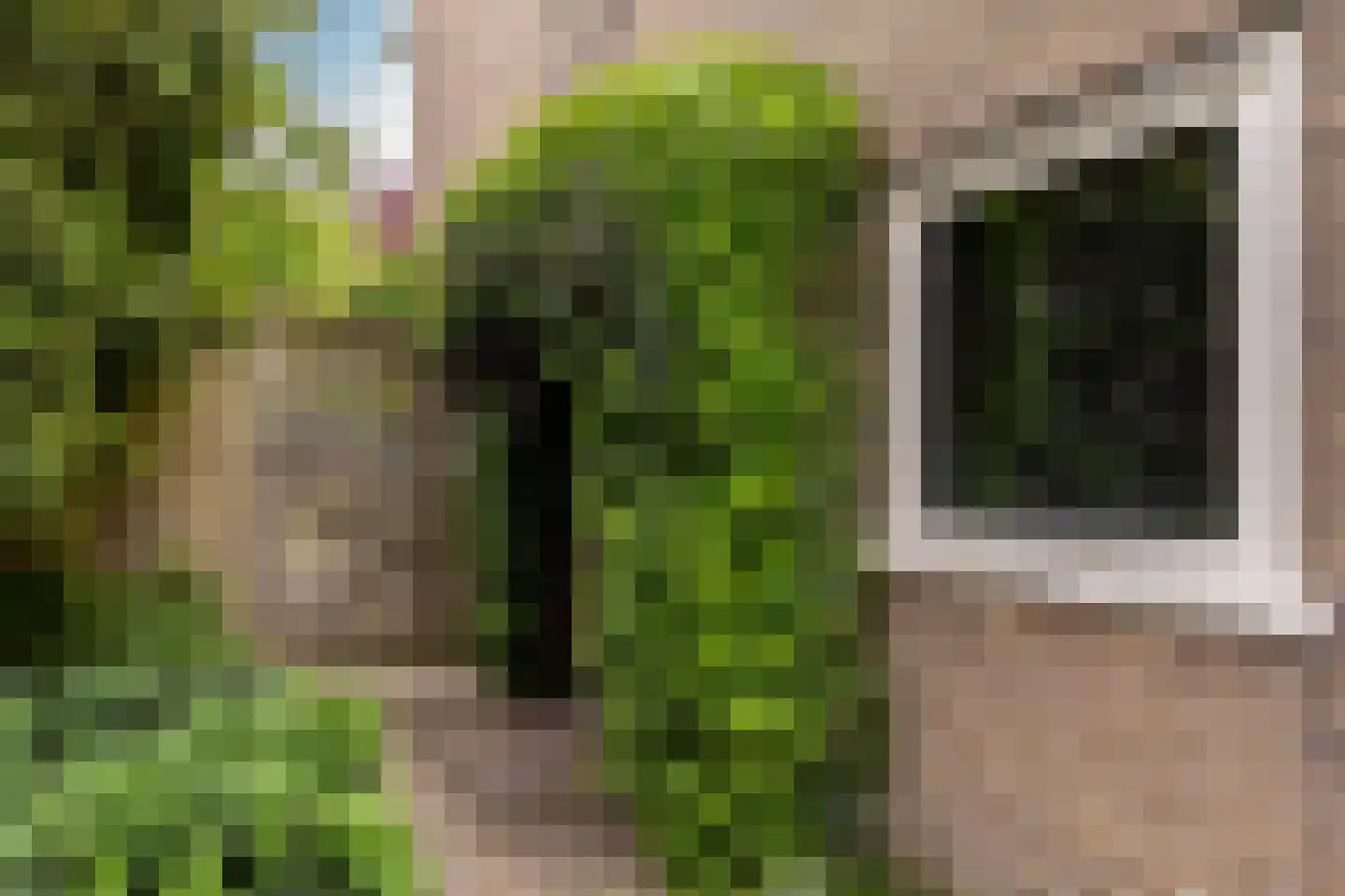 Duinrand 4 Rockanje thumbnail 37