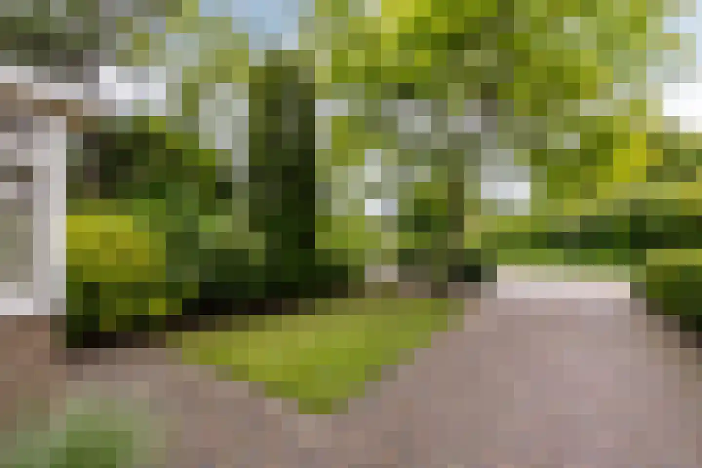 Duinrand 4 Rockanje thumbnail 38