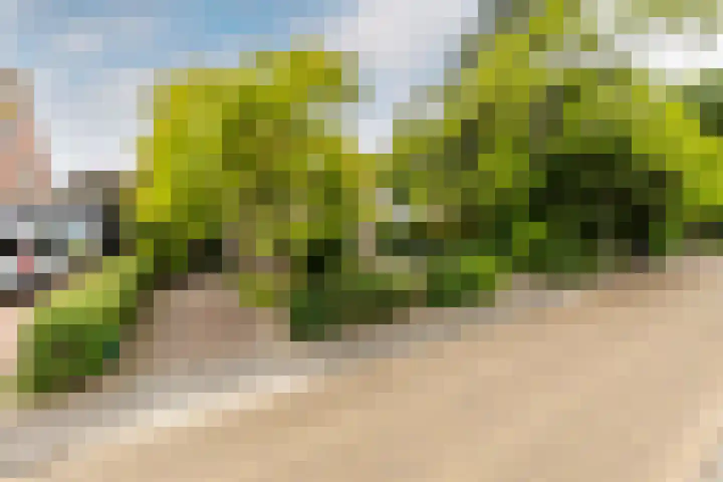 Duinrand 4 Rockanje thumbnail 39
