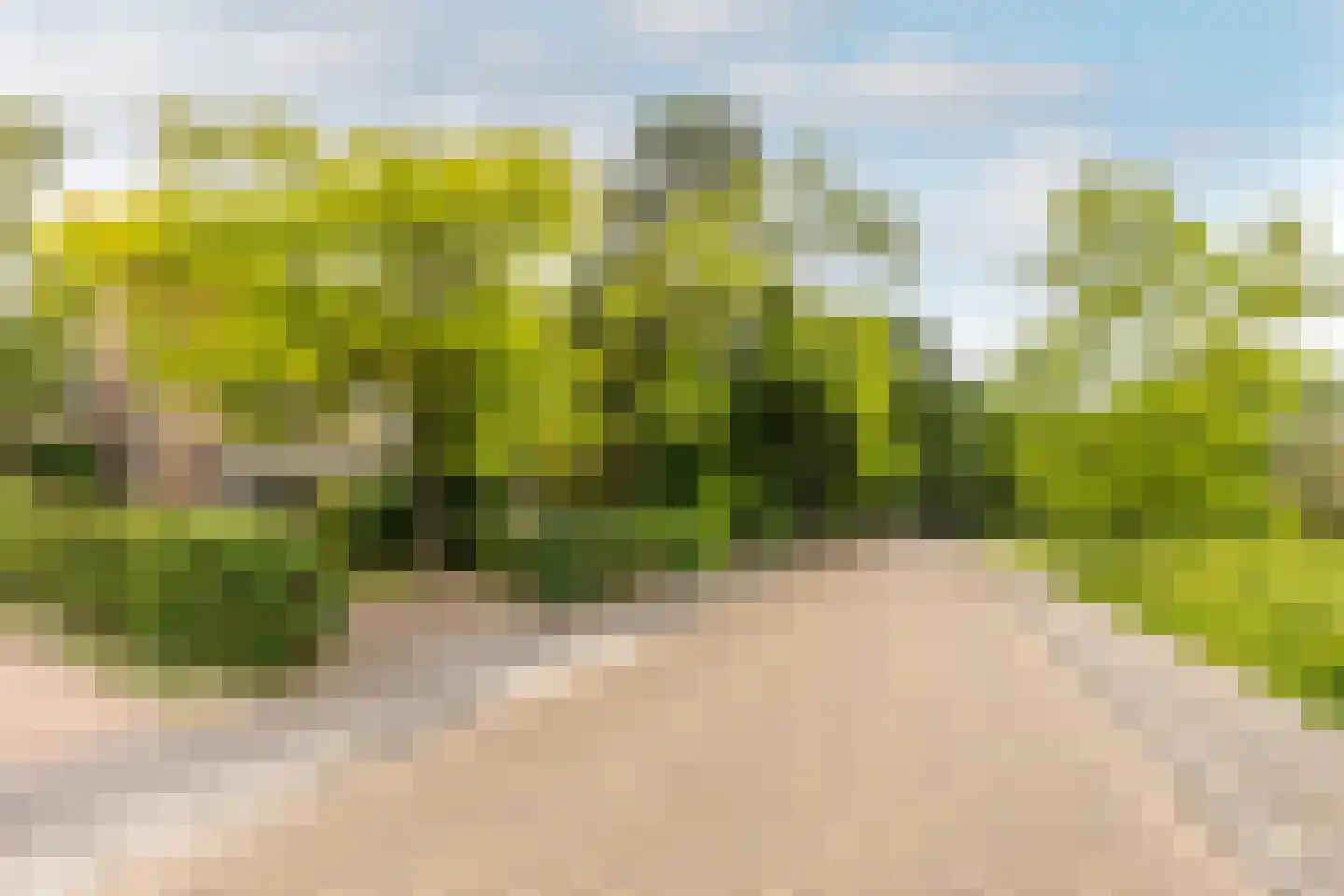 Duinrand 4 Rockanje thumbnail 41