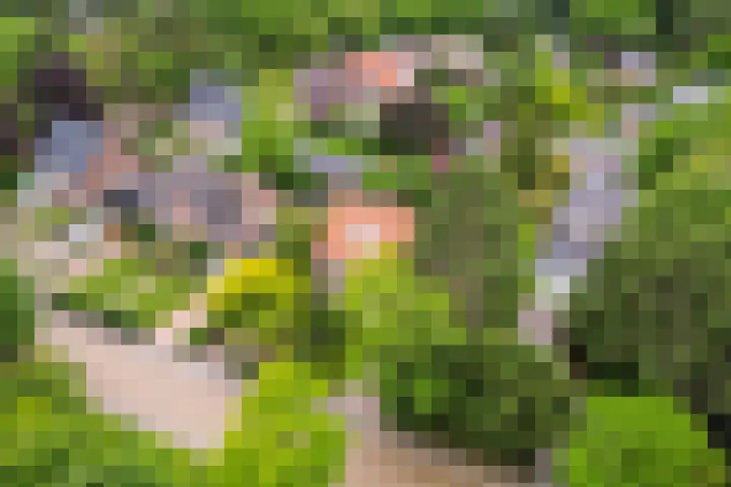 Duinrand 4 Rockanje thumbnail 43