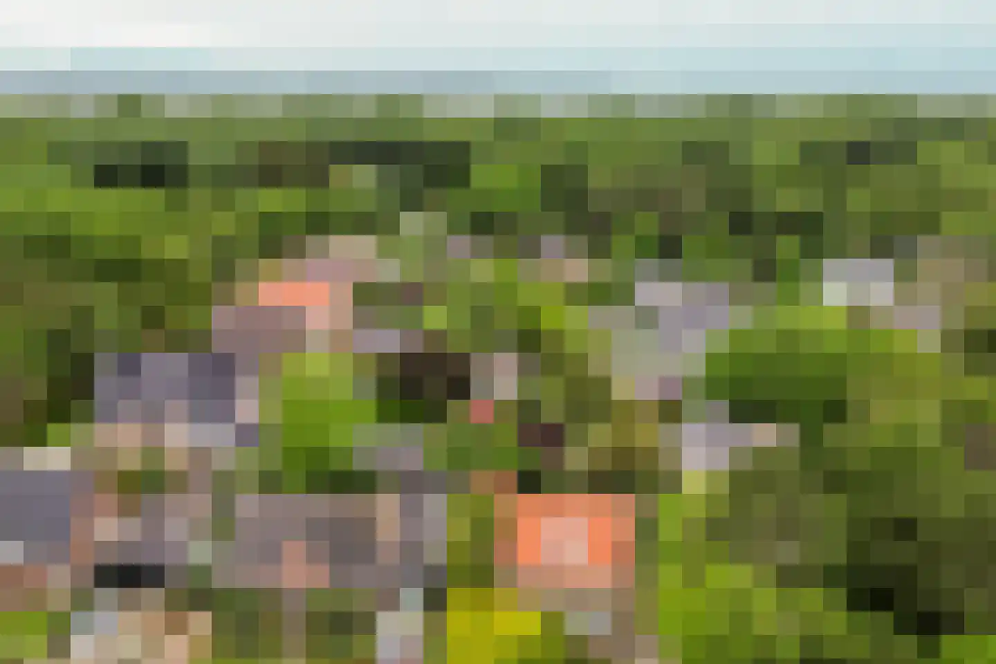 Duinrand 4 Rockanje thumbnail 44