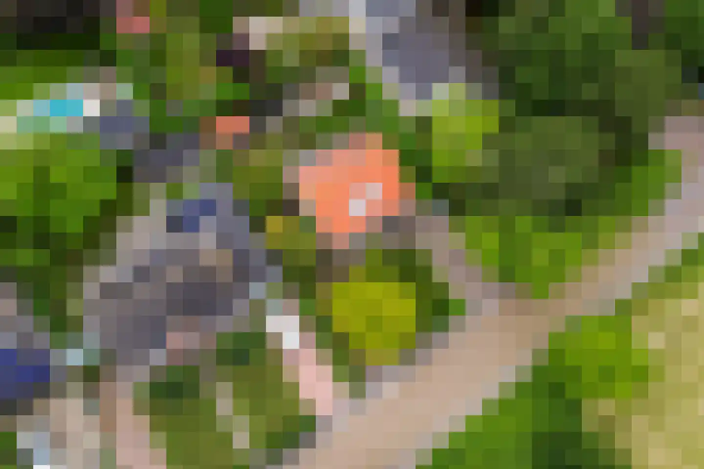 Duinrand 4 Rockanje thumbnail 45