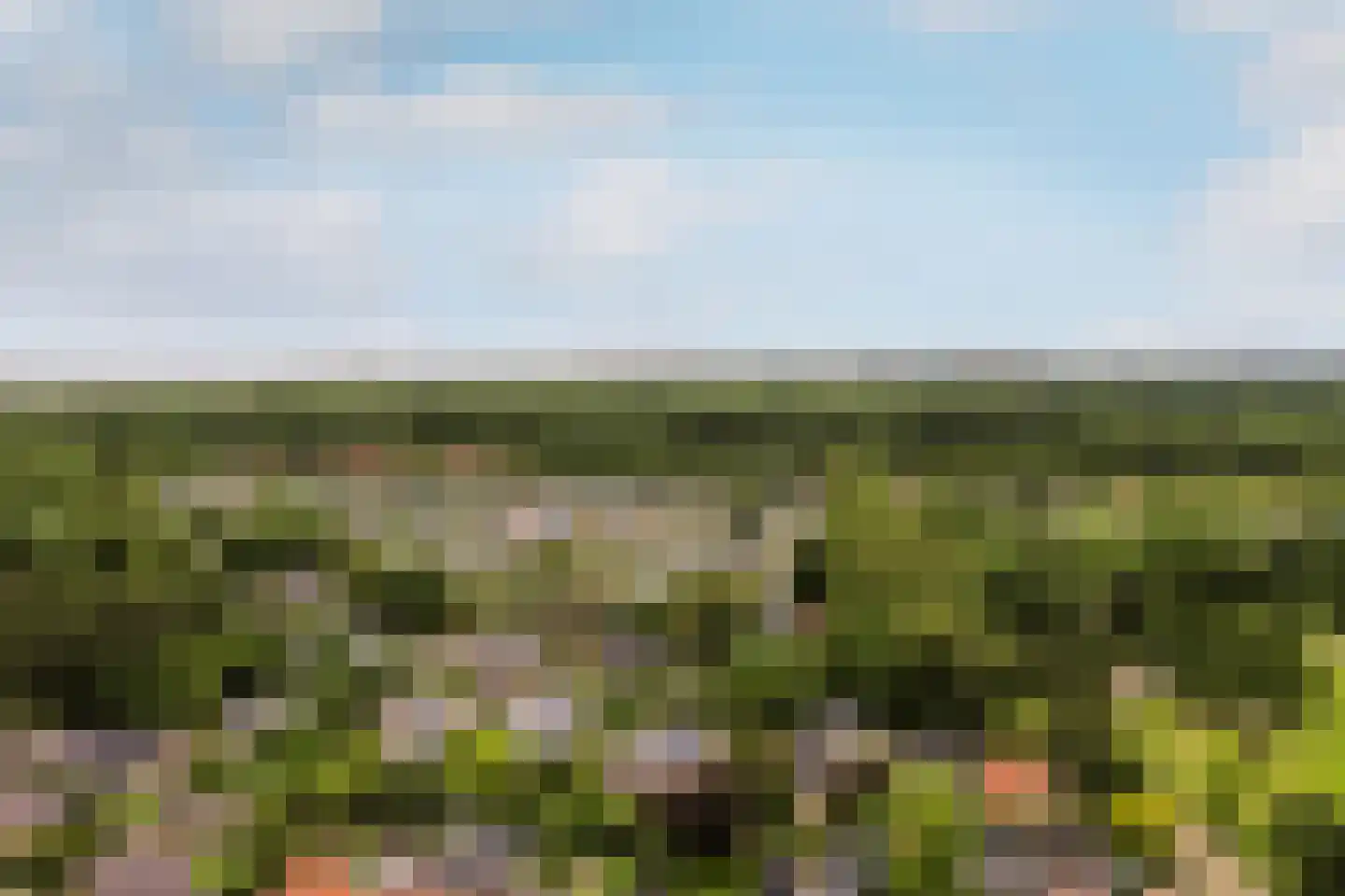 Duinrand 4 Rockanje thumbnail 46