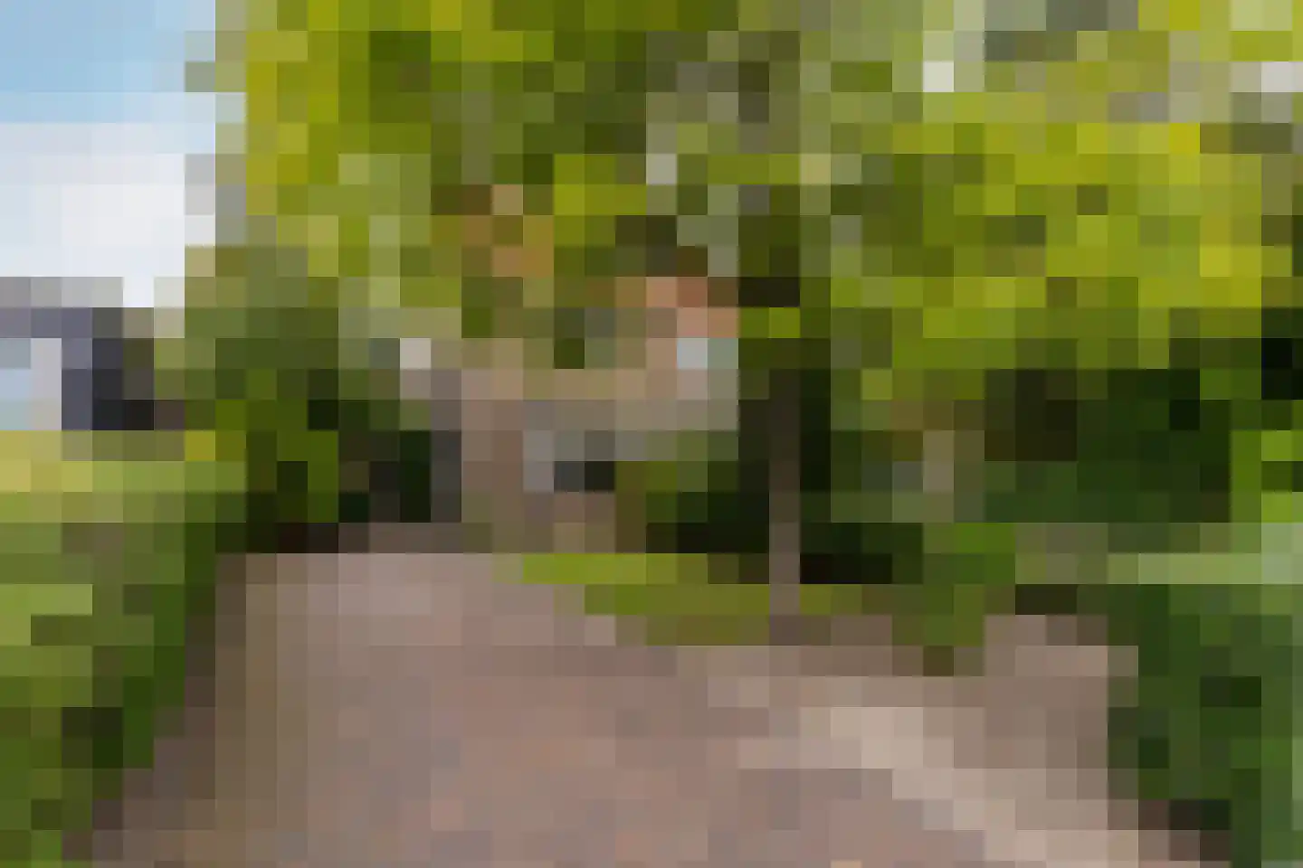 Duinrand 4 Rockanje thumbnail 5