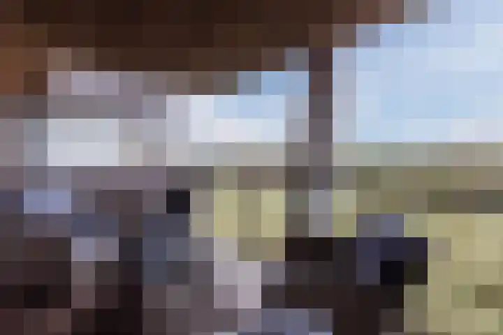 Duinreepstraat 45 Katwijk thumbnail 4