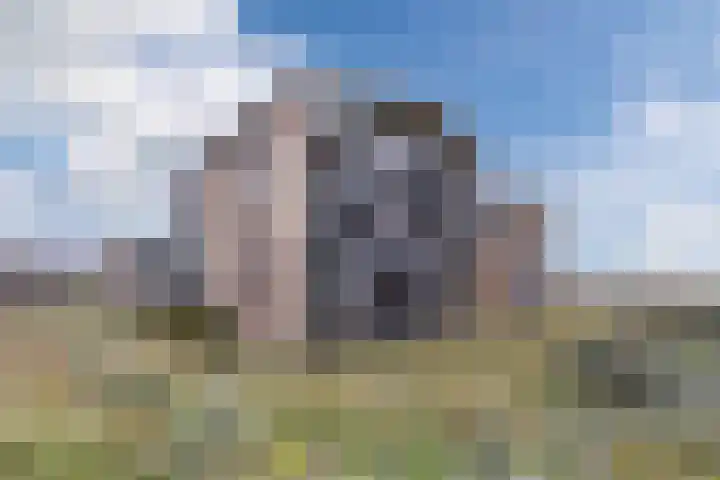 Duinreepstraat 45 Katwijk thumbnail 48