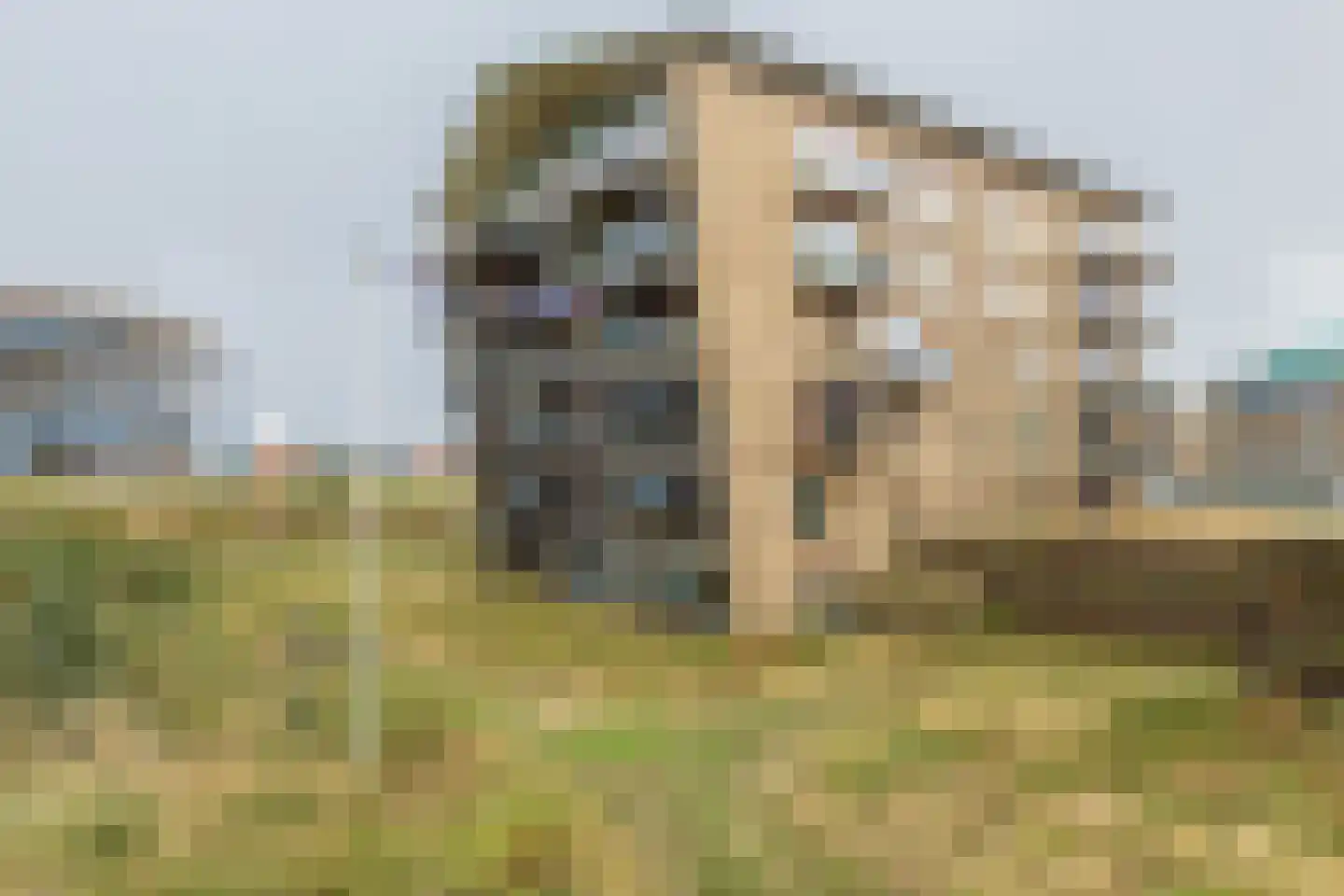 Duinreepstraat 7 Katwijk thumbnail 12