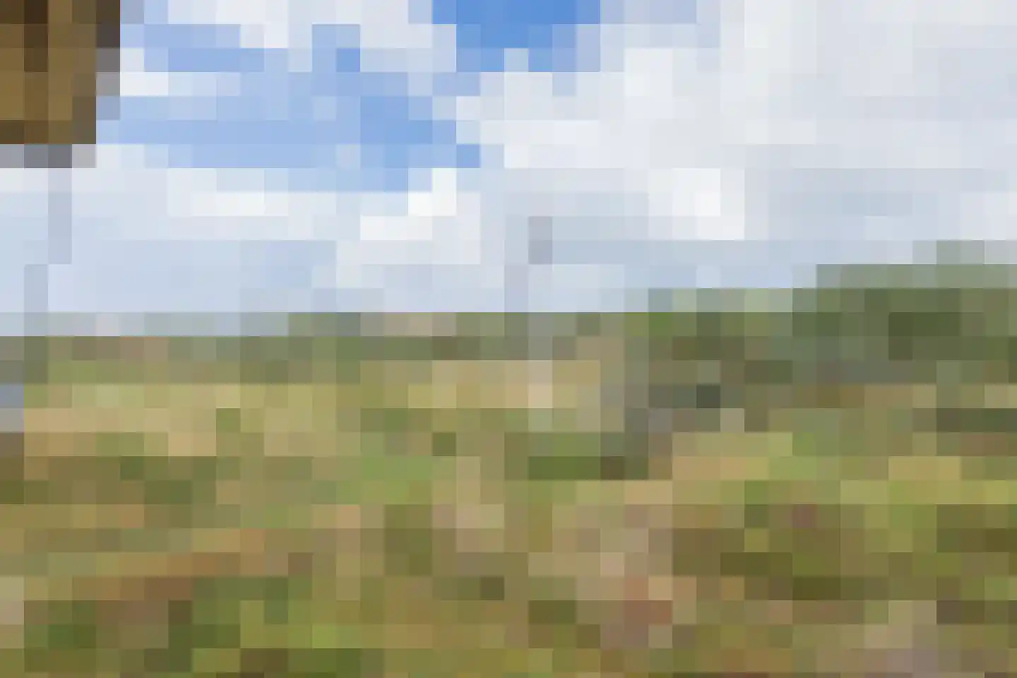 Duinreepstraat 7 Katwijk thumbnail 4