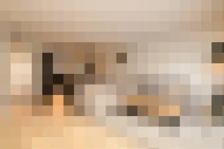 Duinrel 14 Poeldijk thumbnail 11