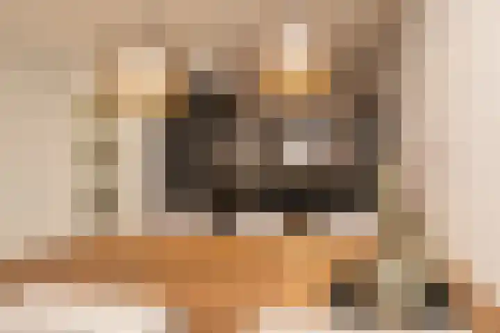 Duinrel 14 Poeldijk thumbnail 13