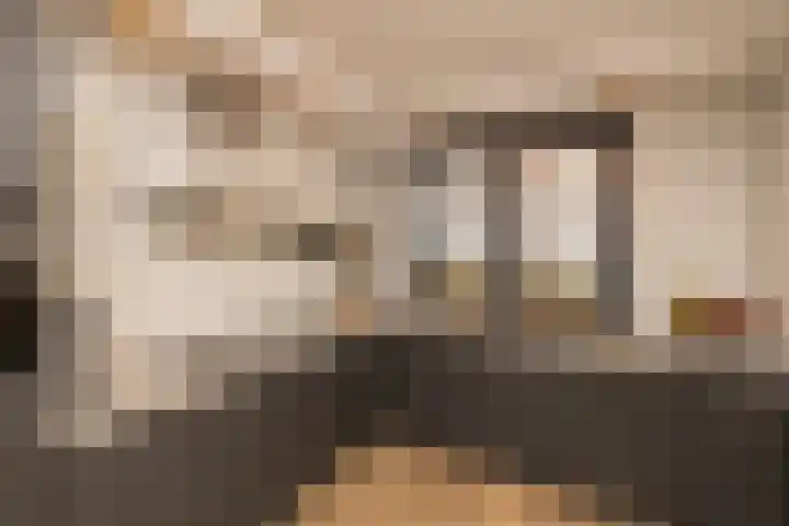 Duinrel 14 Poeldijk thumbnail 16