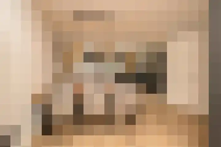 Duinrel 14 Poeldijk thumbnail 17
