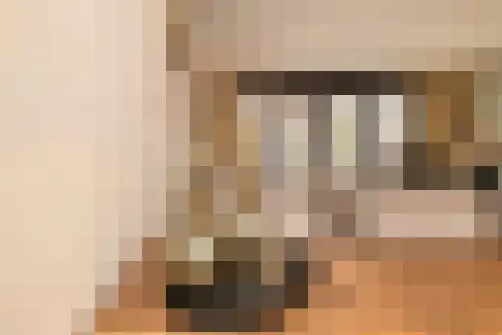 Duinrel 14 Poeldijk thumbnail 18